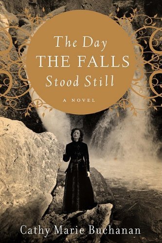 The day the falls stood still cover
