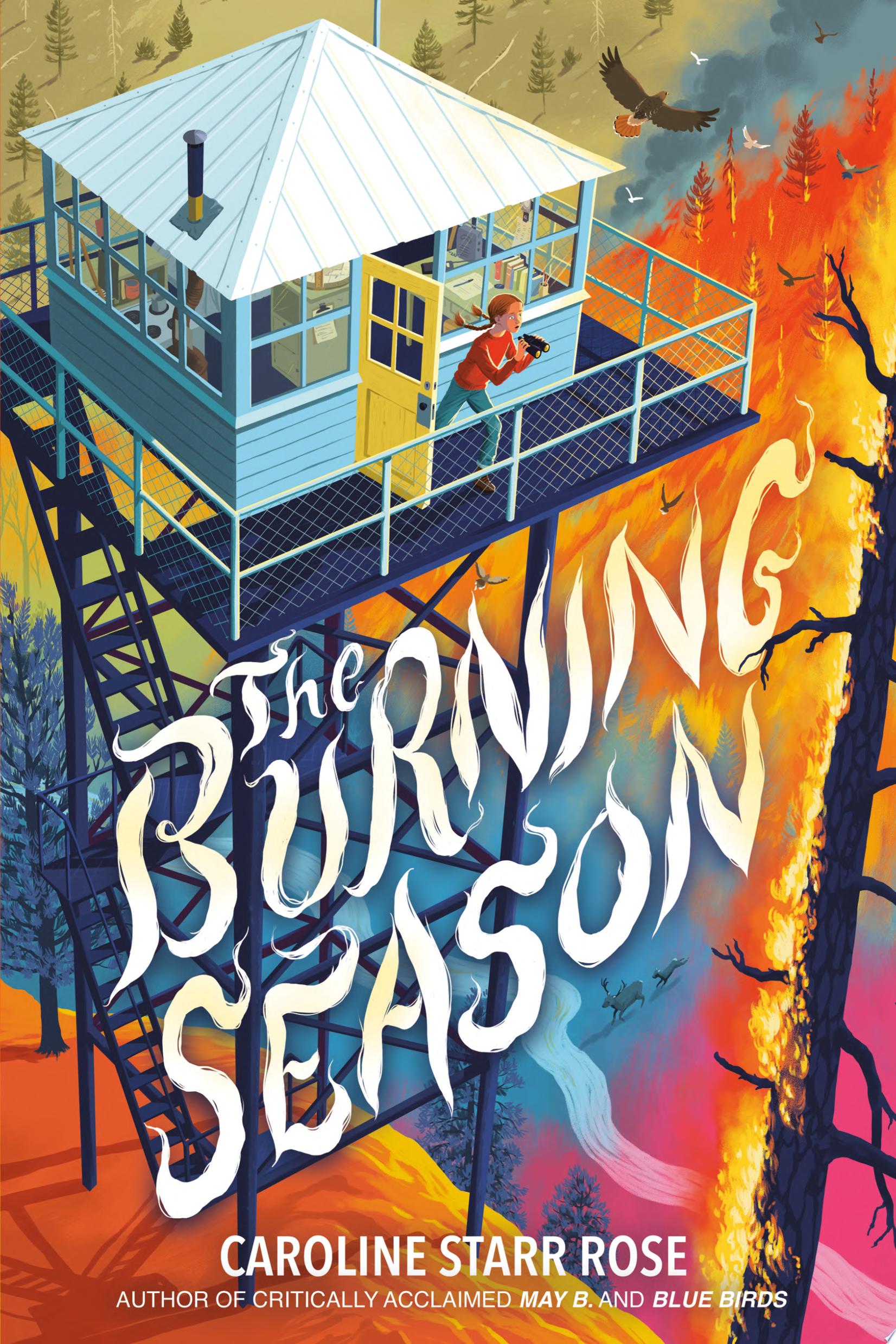 Image for "The Burning Season"